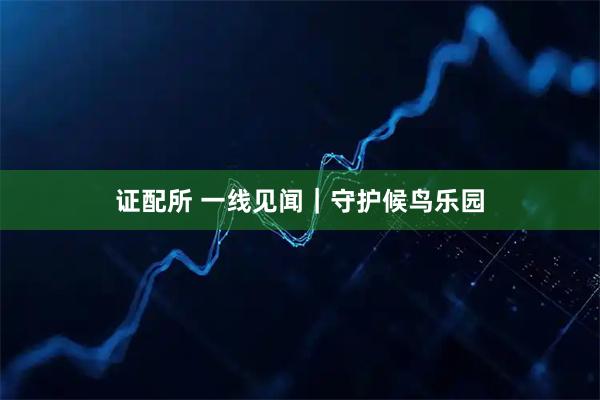 证配所 一线见闻|守护候鸟乐园