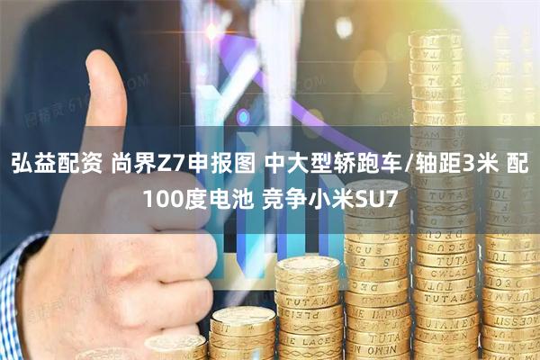 弘益配资 尚界Z7申报图 中大型轿跑车/轴距3米 配100度电池 竞争小米SU7